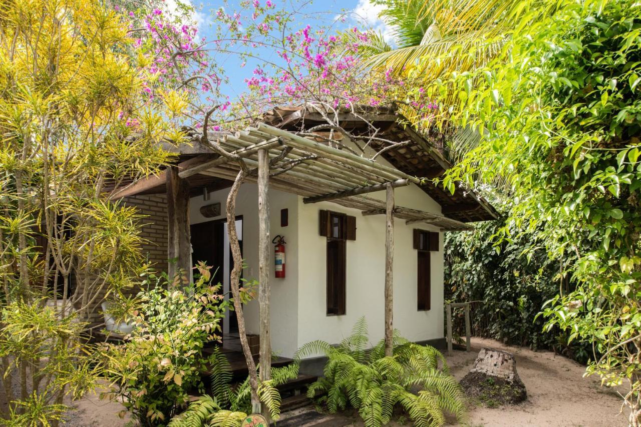 賓館 Da Amendoeira Sao Miguel dos Milagres